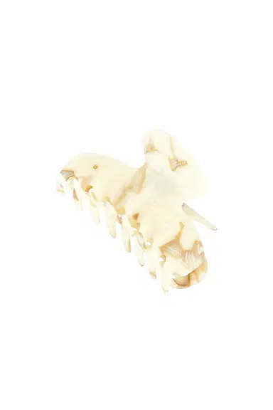 Sophie Buhai Fan Shell Hair Claw | Thumbnail 1 Sophie Buhai Fan Shell Hair Claw | Thumbnail 1