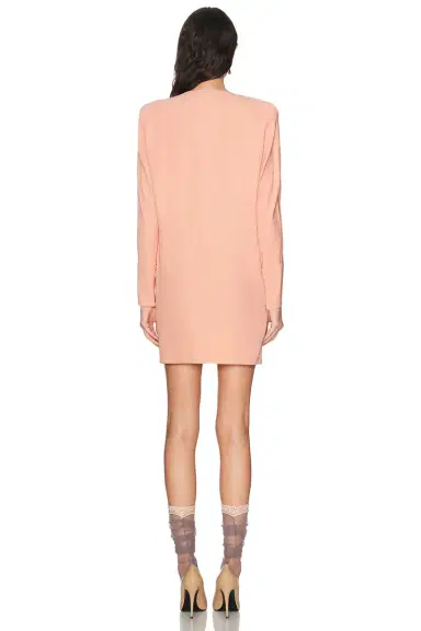 Valentino Cady Couture Mini Dress | Thumbnail 4