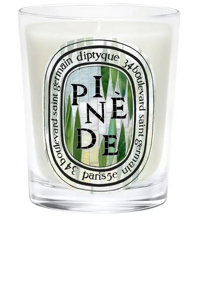 Diptyque Pinede Classic Candle