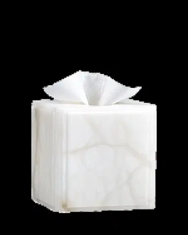 Labrazel Claudia Tissue Box Cover | Thumbnail 2 Labrazel Claudia Tissue Box Cover | Thumbnail 2