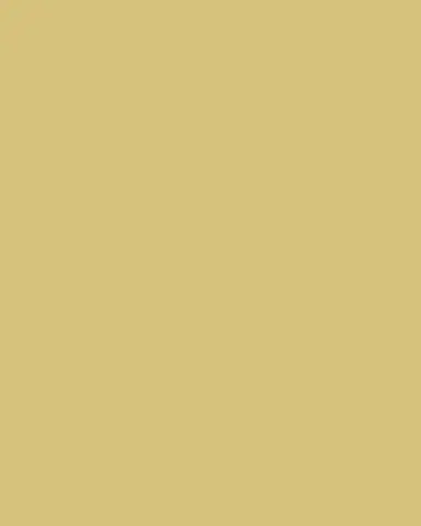 Buccellati Hawaii 18K Yellow Gold Small Circles Earrings | Thumbnail 3