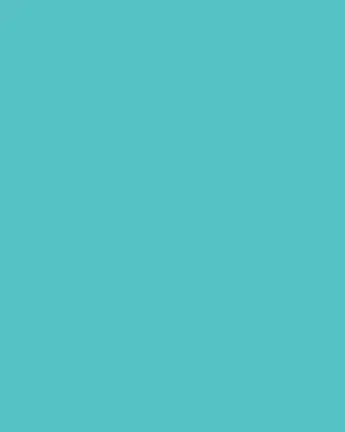 JIA JIA Nevada Turquoise Jumbo Heart Necklace | Thumbnail 3