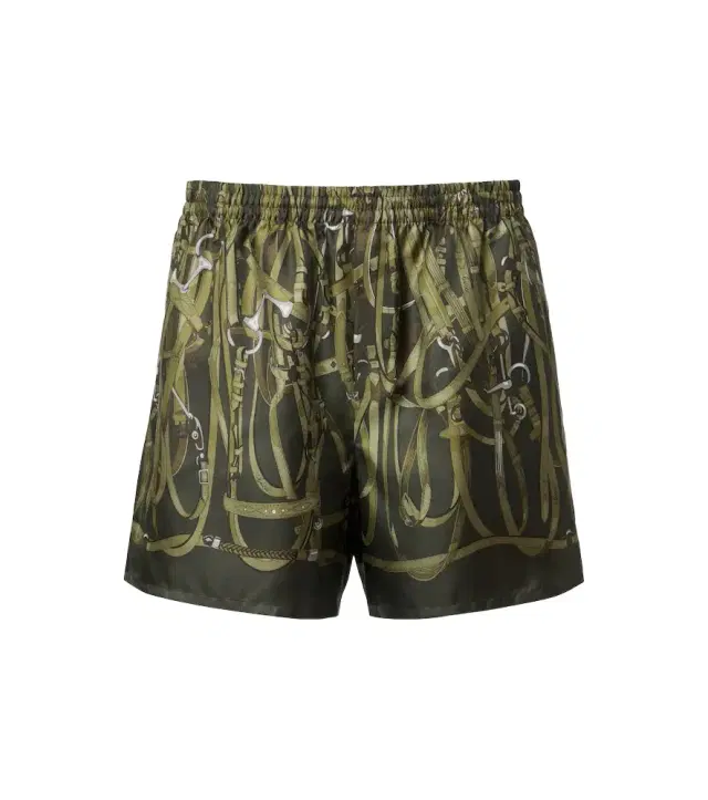 Gucci Printed silk twill shorts