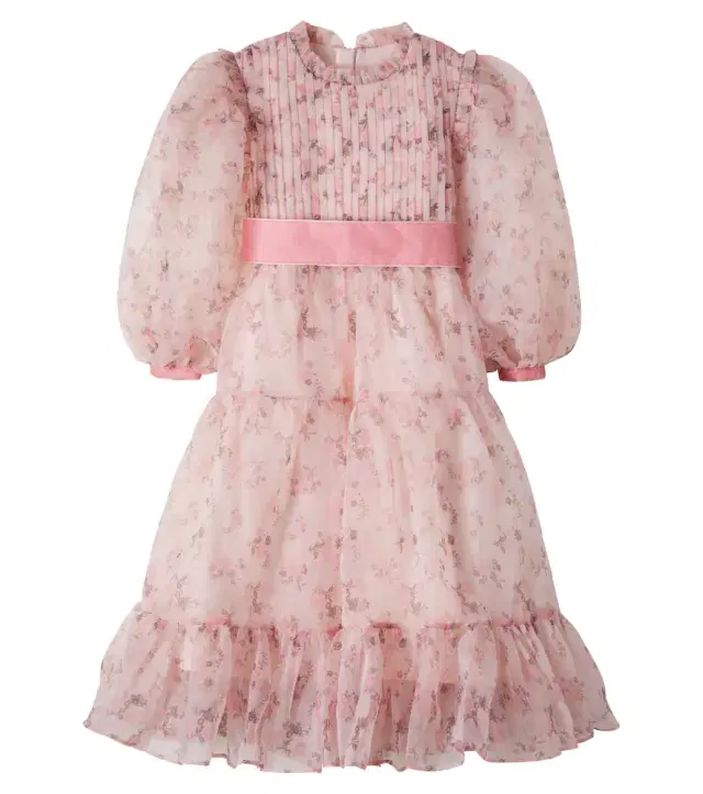 Milie embroidered tiered tulle dress