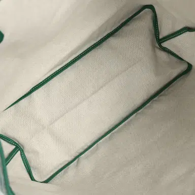 goyard Goyard Goyardine Hand-Painted Dog Green Saint Louis PM Tote Bag Palladium Hardware | Thumbnail 9