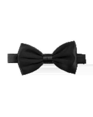 Stefano Ricci Silk Satin Bow Tie | Thumbnail 2
