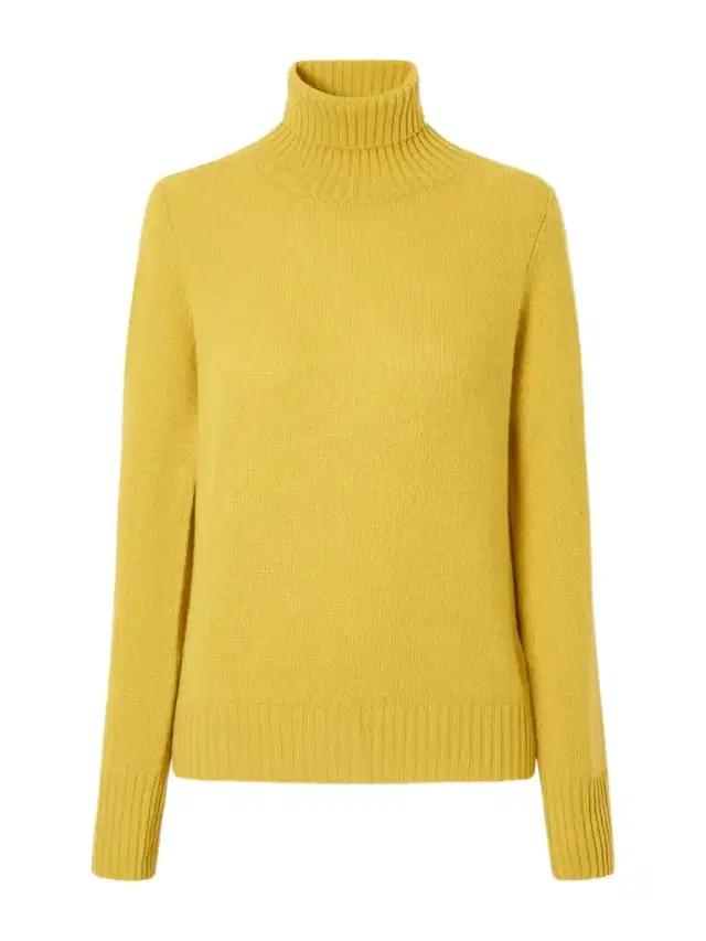 Allude Turtleneck Cashmere Sweater