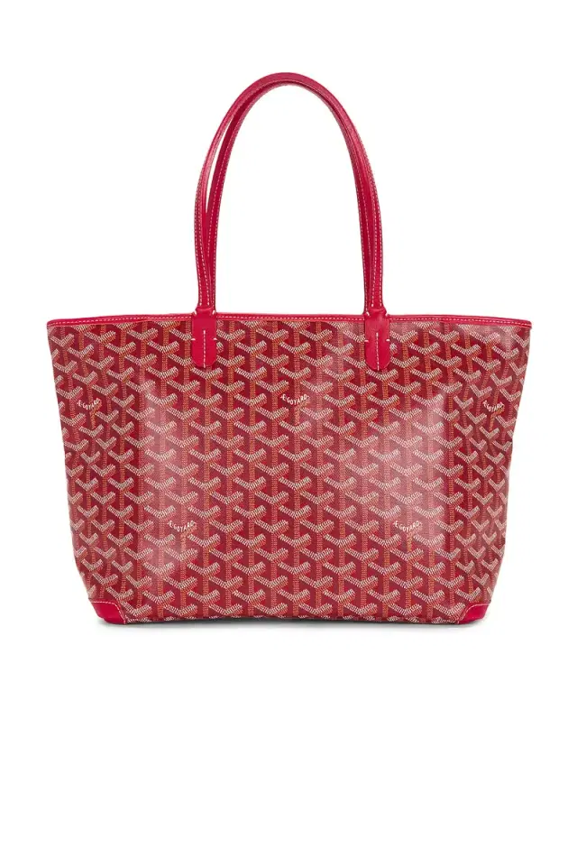 goyard Saint Louis PM Tote Bag