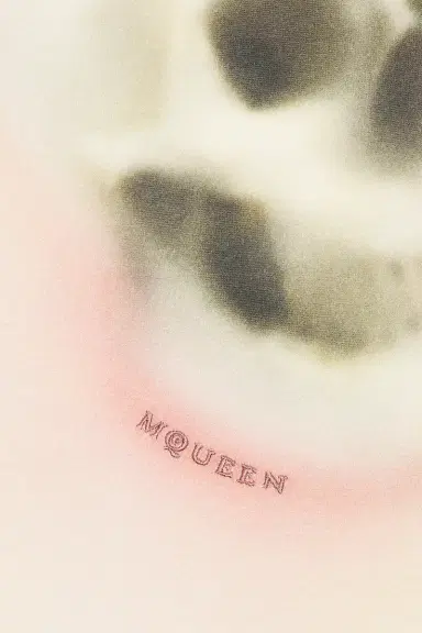 Alexander McQueen Skull Haze Tee Shirt | Thumbnail 5 Alexander McQueen Skull Haze Tee Shirt | Thumbnail 5