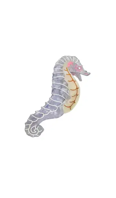Solar Eclipse Hand-painted Seahorse Claw Hair Clip | Thumbnail 1