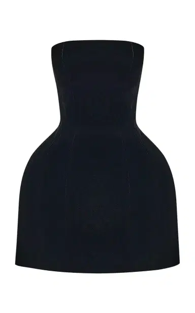Rasario Sculpted Velvet Mini Dress | Thumbnail 1