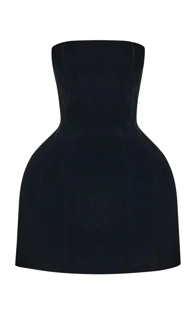 Rasario Sculpted Velvet Mini Dress