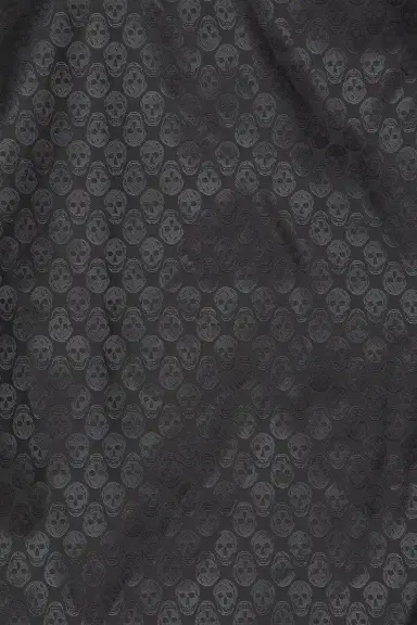 Alexander McQueen Coach Jacket | Thumbnail 5