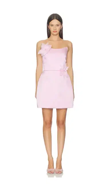 Nadine Merabi Flower Trim Mini Dress | Thumbnail 2