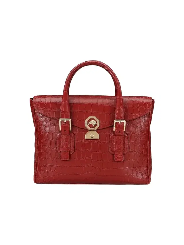 Stefano Ricci Men's Luxury Flap Croc Briefcase - Brown Red