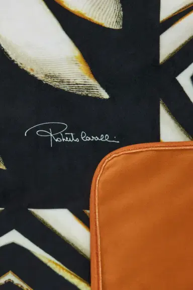 Roberto Cavalli Throw with Ray Of Gold Print | Thumbnail 1
