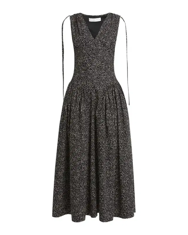 Proenza Schouler White Label Clayton Printed Poplin Drop-Waist Dress