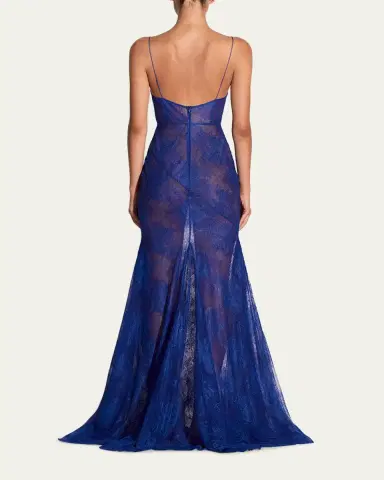 Alex Perry Plunging Sheer Lace Bikini Gown | Thumbnail 3 Alex Perry Plunging Sheer Lace Bikini Gown | Thumbnail 3