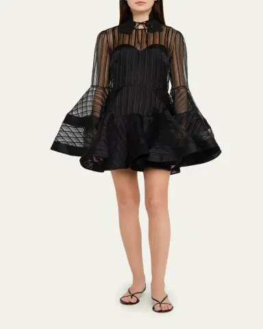 Zimmermann Valiant Lantern Mini Dress | Thumbnail 2