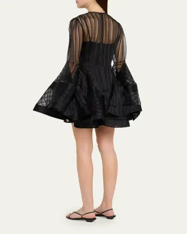 Zimmermann Valiant Lantern Mini Dress | Thumbnail 3