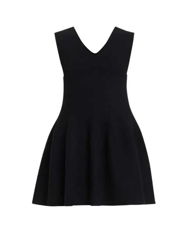 Lisa Yang Wrenley Cashmere Mini Dress