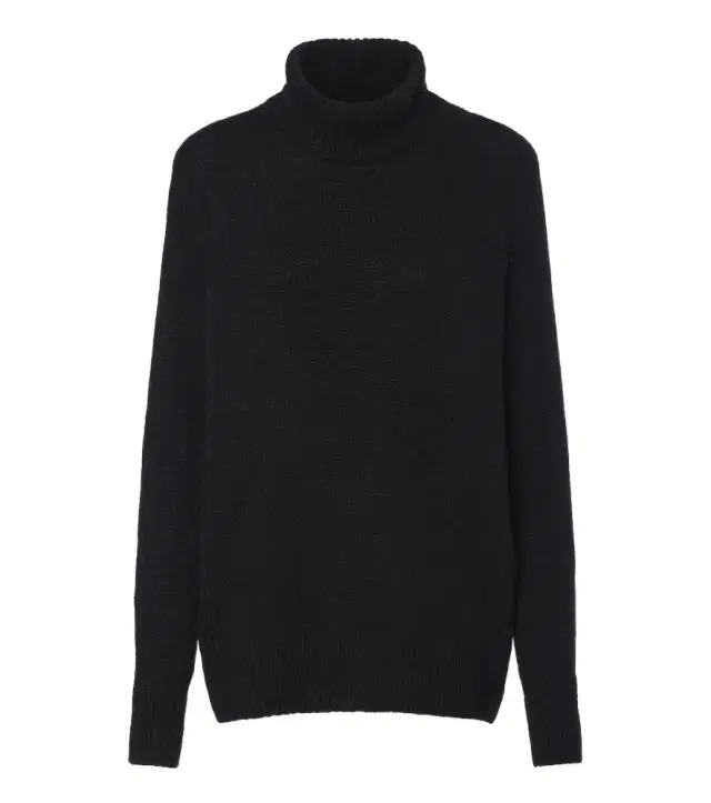 The Row Plira cashmere turtleneck sweater