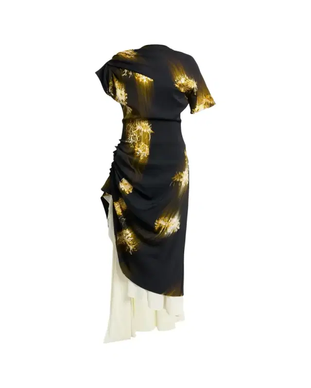 Proenza Schouler Antonella Blur Floral Draped High-Low Dress