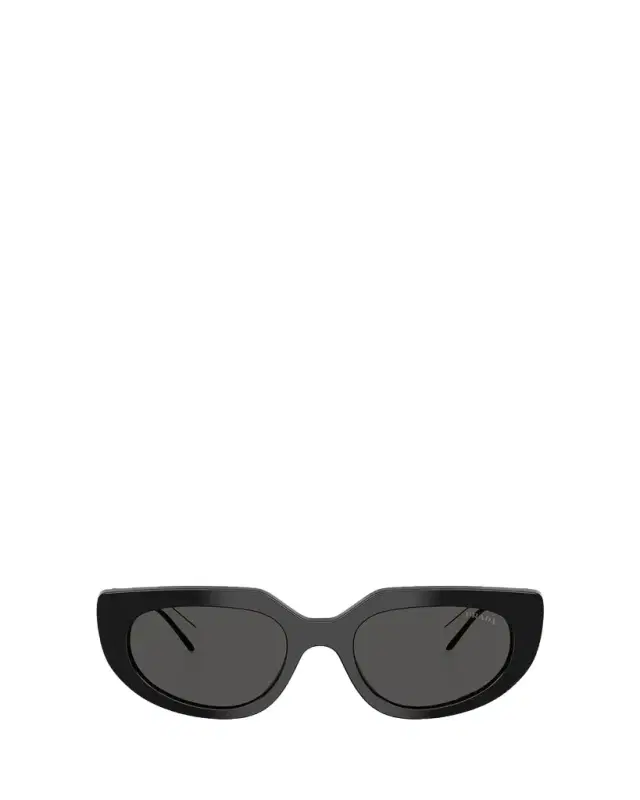PR D02SF 54MM Oval Sunglasses