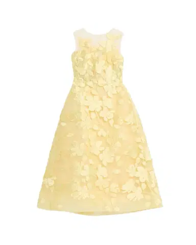 Monique Lhuillier Sleeveless Floral Tulle Illusion Tea-Length Dress | Thumbnail 1