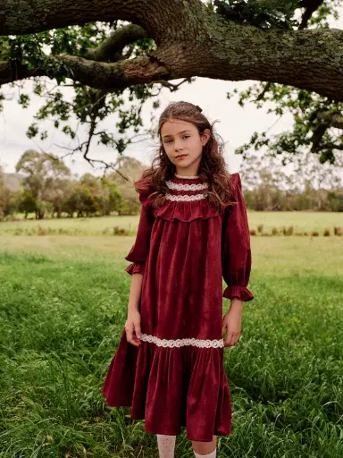Petite Amalie Lace-trimmed ruffled velvet dress | Thumbnail 5