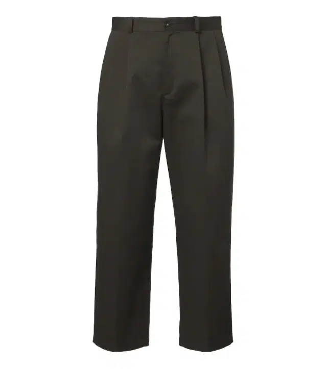 The Row Nesper pleated straight pants