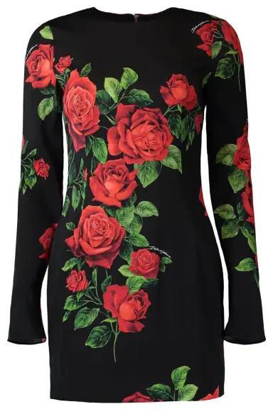 Dolce & Gabbana Rose Long Sleeve Dress | Thumbnail 1 Dolce & Gabbana Rose Long Sleeve Dress | Thumbnail 1