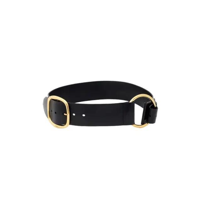 Chloé The Chloé Anita belt