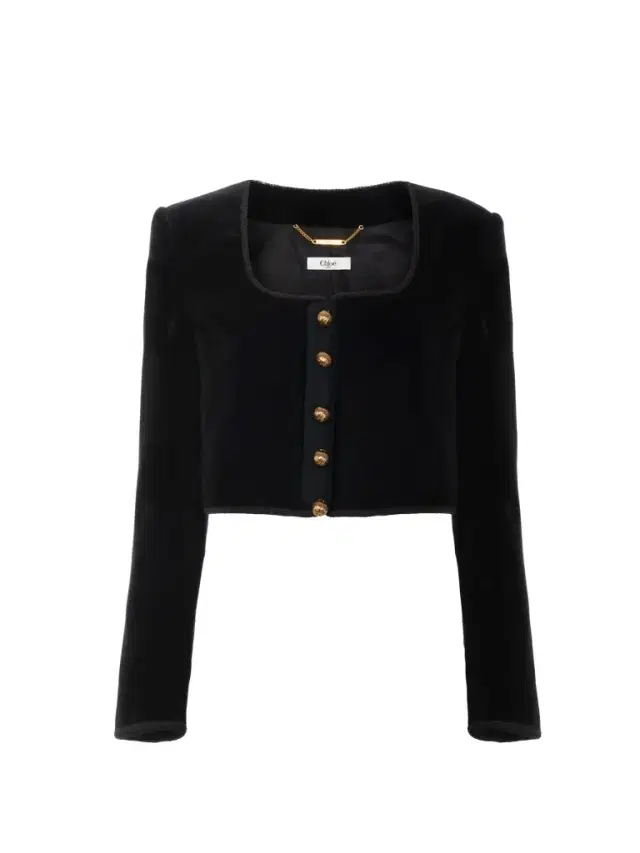 Chloé Cropped Spencer jacket in velvet