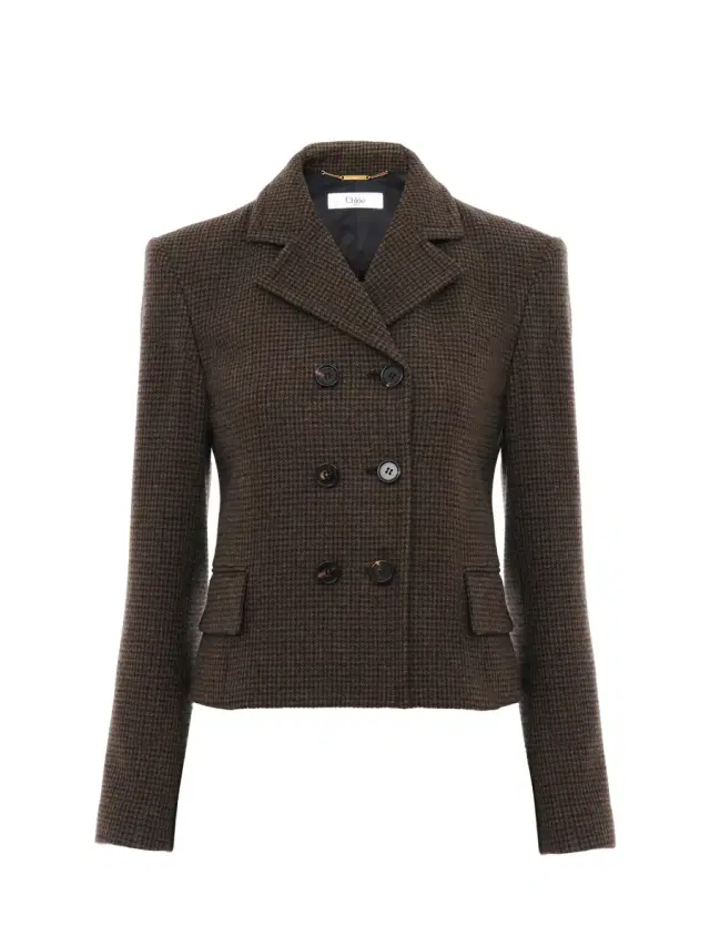 Chloé Double-breasted fitted jacket in houndstooth wool