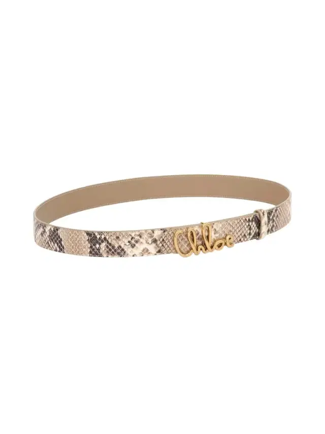 Chloé The Chloé Iconic belt