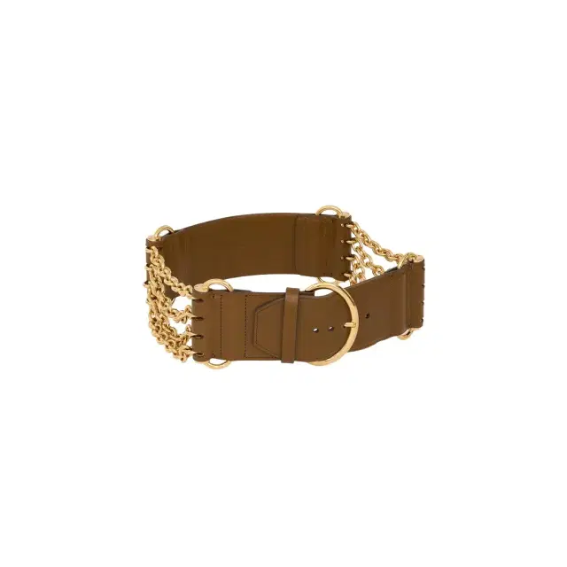Chloé The Chloé Camera Chain belt