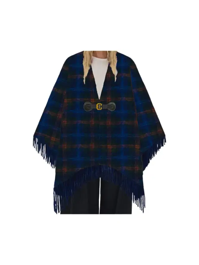 Chloé The Chloé Paddington cape in mohair, wool & nylon