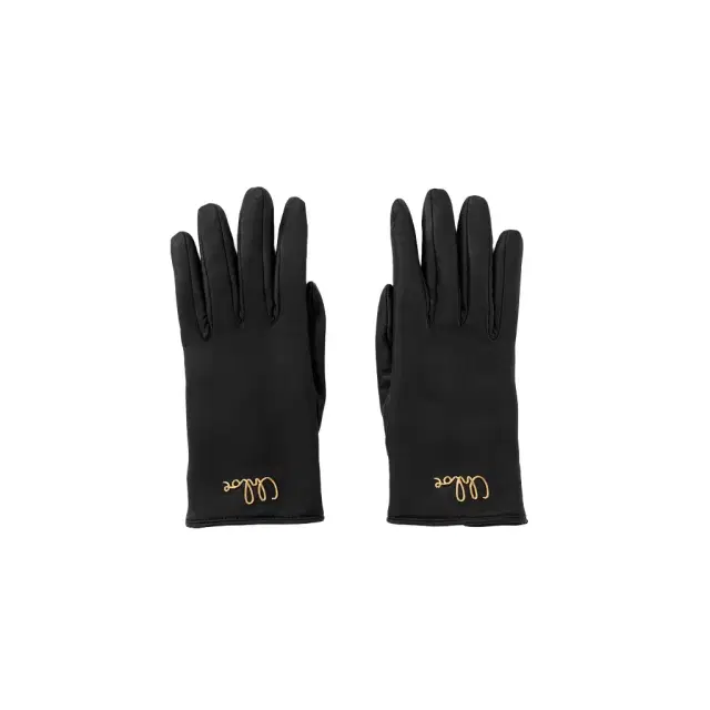 Chloé The Chloé Iconic gloves in leather