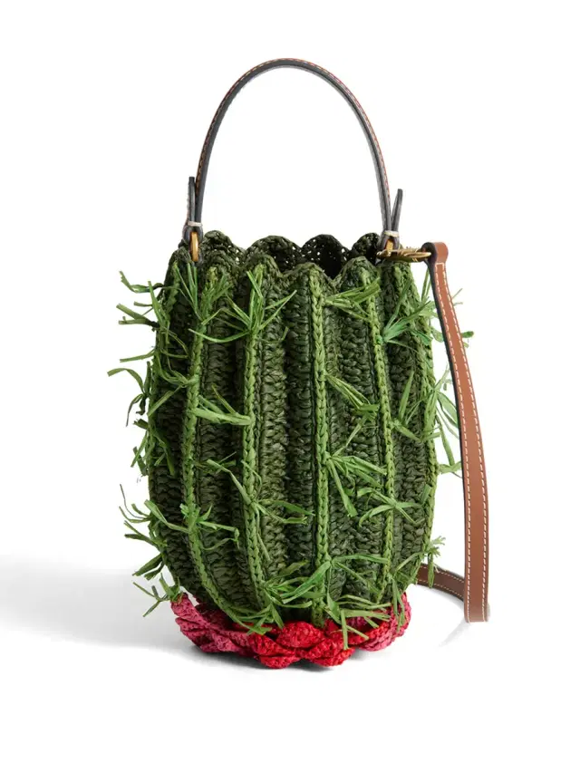 Anya Hindmarch Raffia Cactus Crossbody Bag