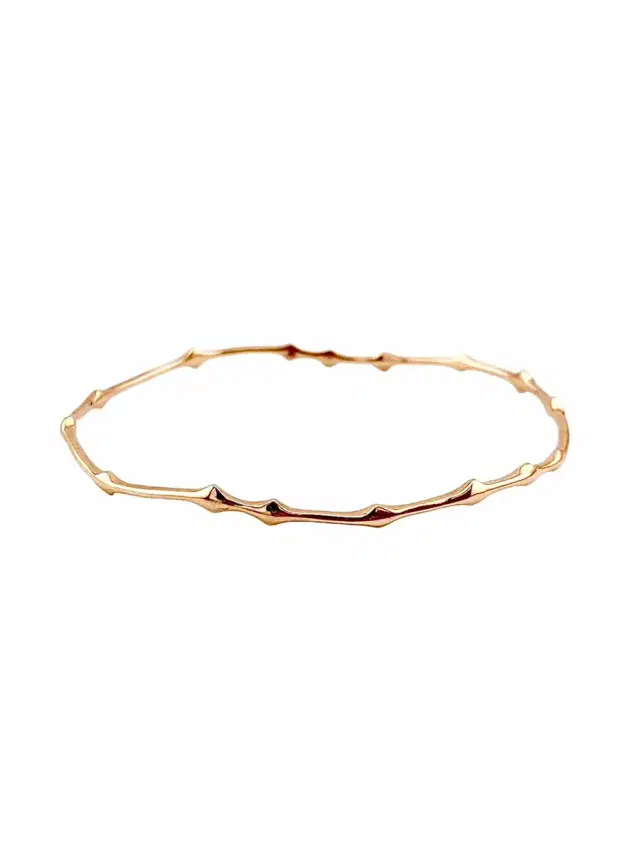 Rani Thorn Bangle