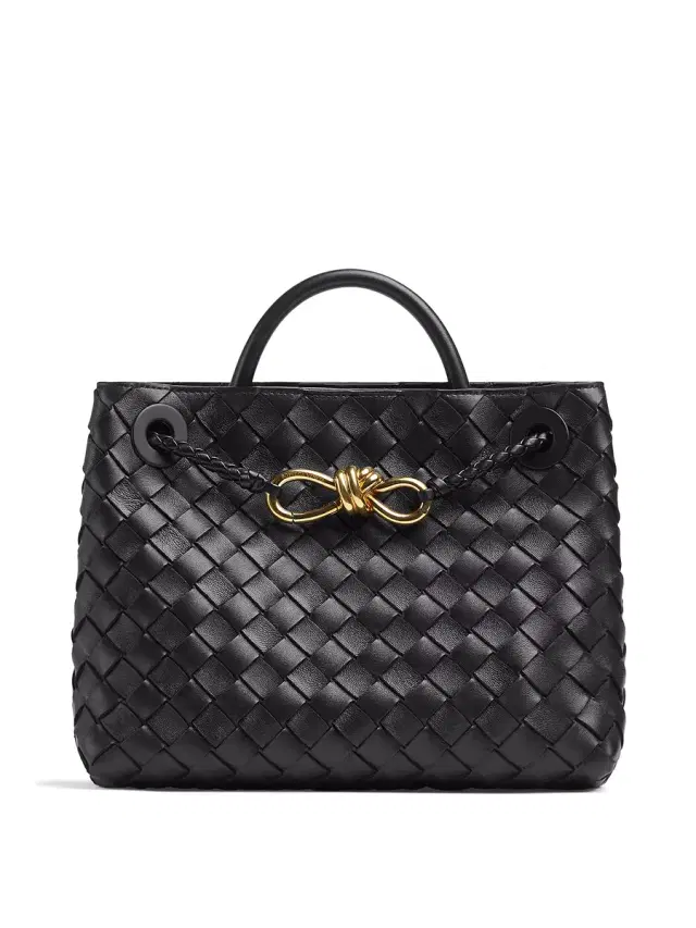 Bottega Veneta Small Andiamo Bag