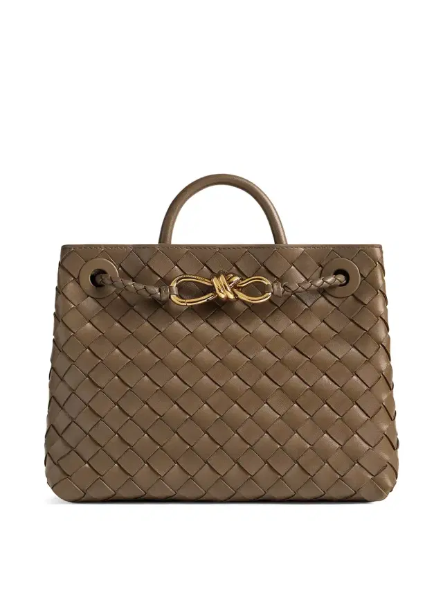 Bottega Veneta Small Andiamo Bag