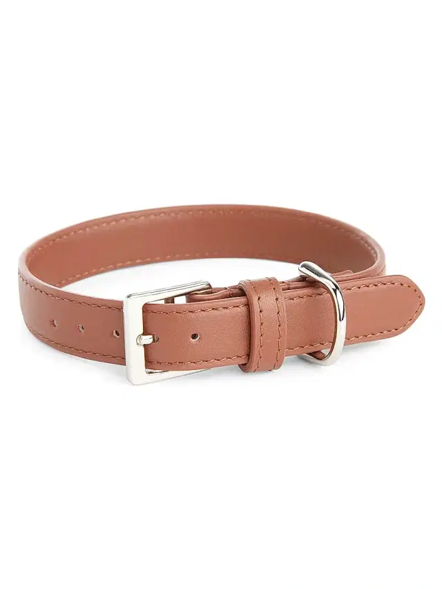 Royce New York Small Leather Dog Collar - Tan