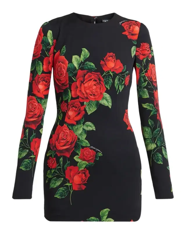 Dolce & Gabbana Rose-Print Silk Long-Sleeve Mini Dress
