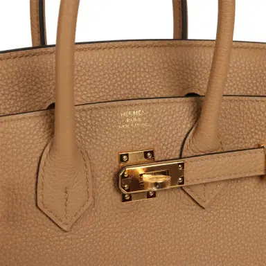 HERMÈS Hermes Birkin 25 Chai Togo Gold Hardware | Thumbnail 7 HERMÈS Hermes Birkin 25 Chai Togo Gold Hardware | Thumbnail 7
