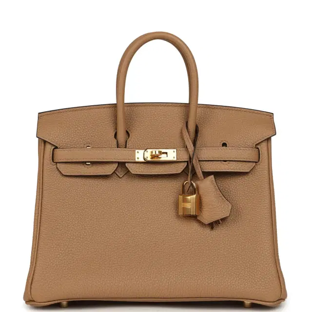 HERMÈS Hermes Birkin 25 Chai Togo Gold Hardware