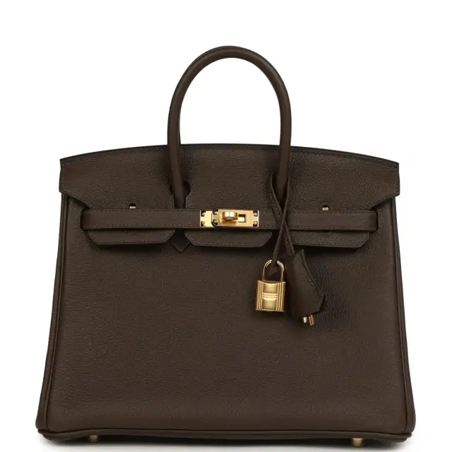 HERMÈS Hermes Birkin 25 Ecorce Togo Gold Hardware