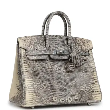 HERMÈS Hermes Birkin 25 Ombre Shiny Varanus Salvator Lizard Palladium Hardware | Thumbnail 2 HERMÈS Hermes Birkin 25 Ombre Shiny Varanus Salvator Lizard Palladium Hardware | Thumbnail 2