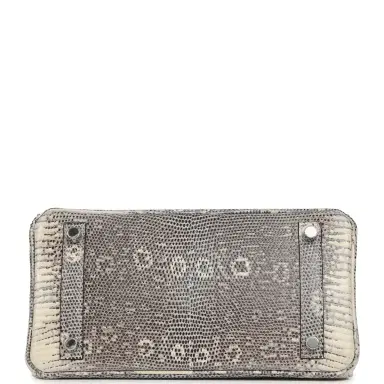 HERMÈS Hermes Birkin 25 Ombre Shiny Varanus Salvator Lizard Palladium Hardware | Thumbnail 6 HERMÈS Hermes Birkin 25 Ombre Shiny Varanus Salvator Lizard Palladium Hardware | Thumbnail 6